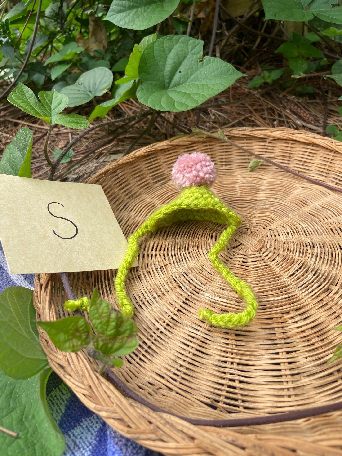 Lime Green / Pink MINI Squi pompom Hat