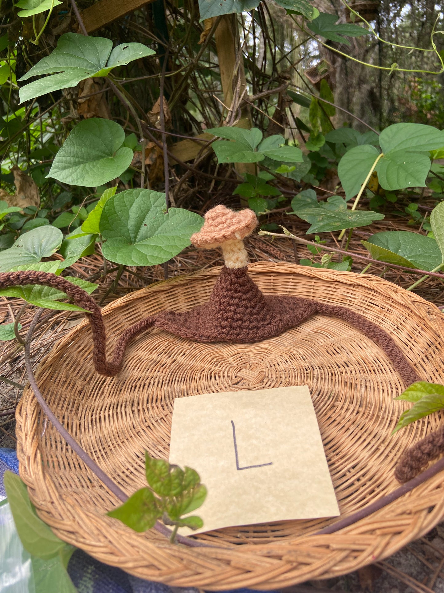 Brown / Mushroom Squirby Hat
