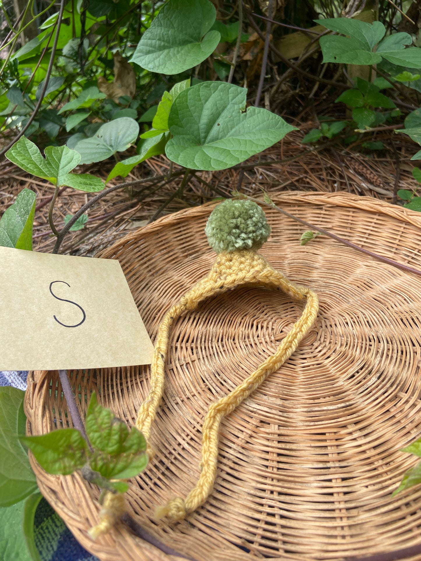 Dandelion / Green MINI Squi pompom Hat