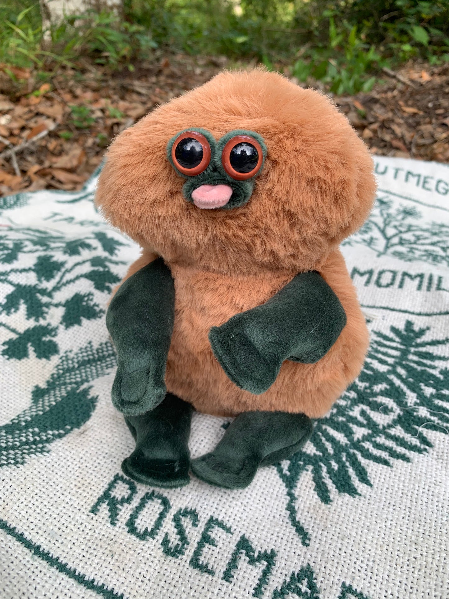 Toffee/Forest Green Squmby fh983