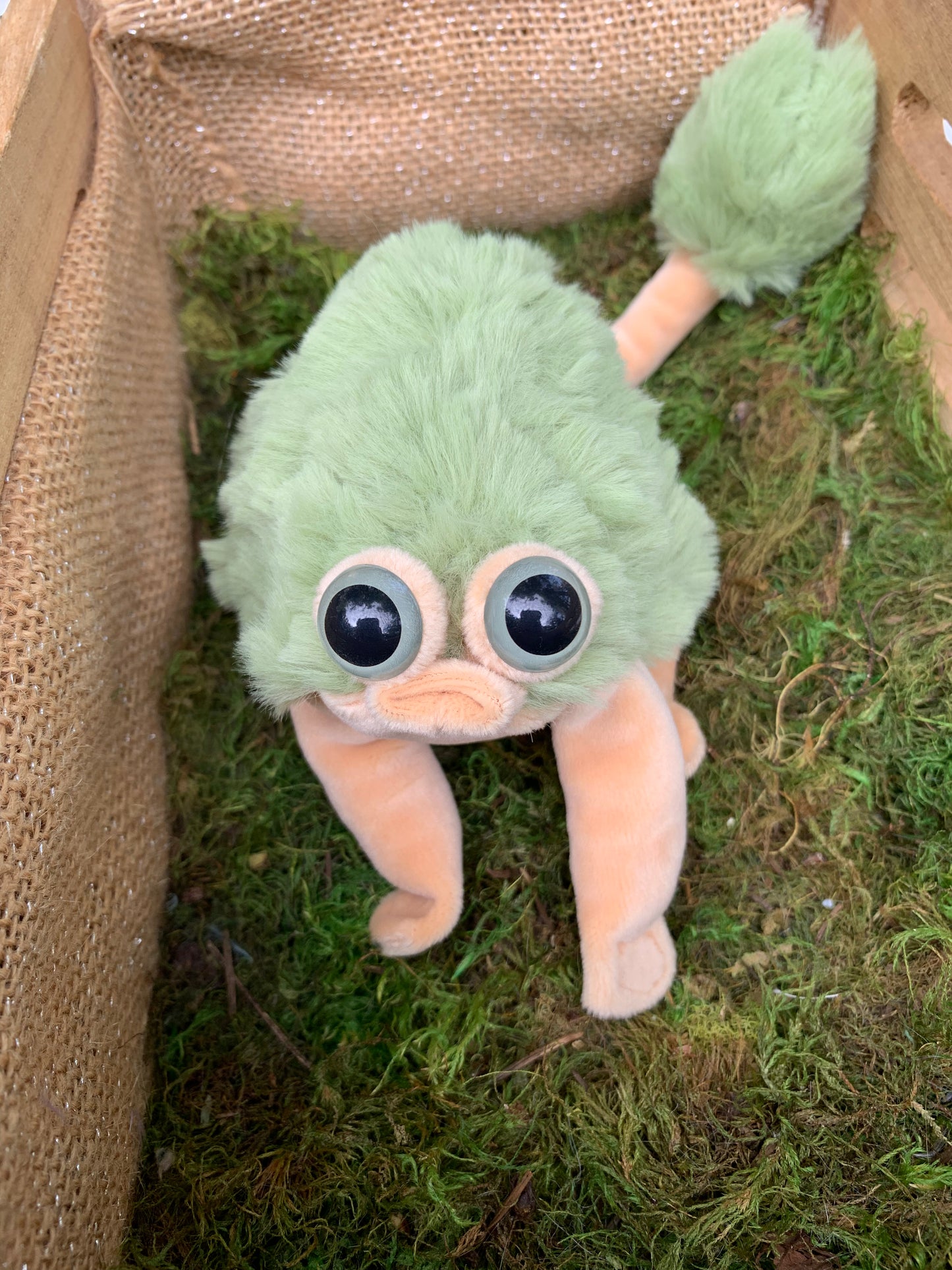 Green/Khaki Squeep b9t8