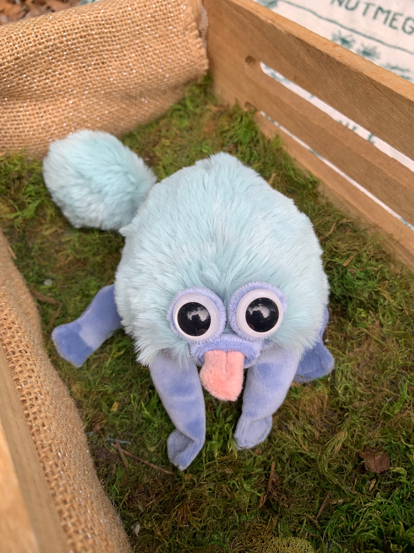 Blue/Blue Squeep 084d2