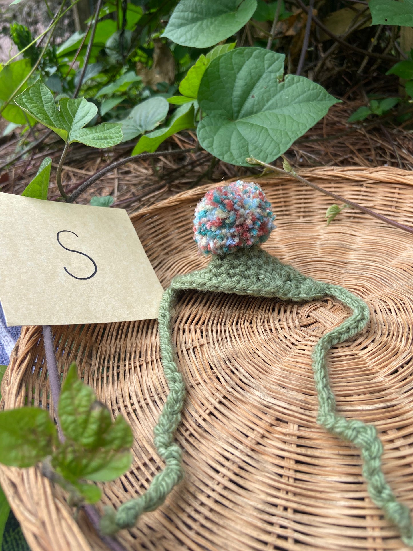 Green / Tootie Fruity MINI Squi pompom Hat