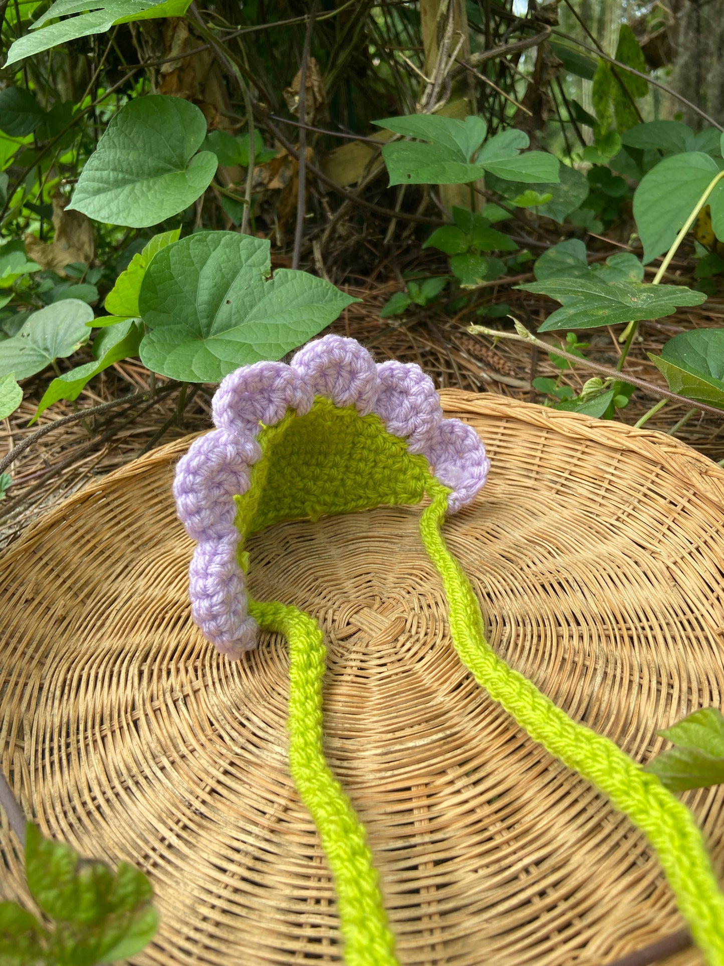 Light Purple / Green Squirby Bonnet