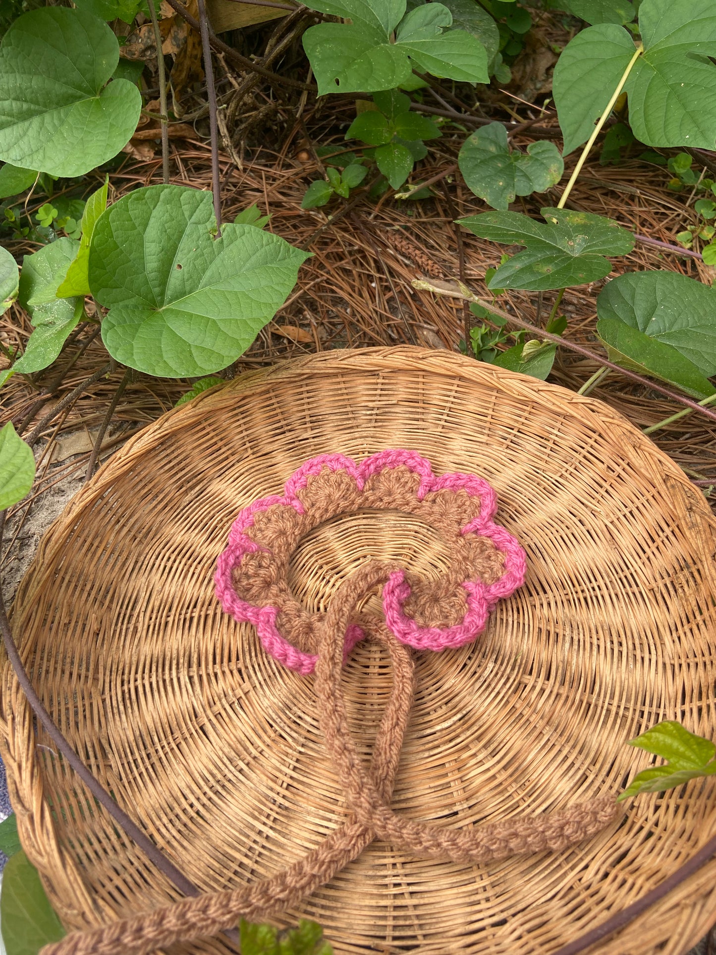 Pink / Brown Scalloped Squi Collar