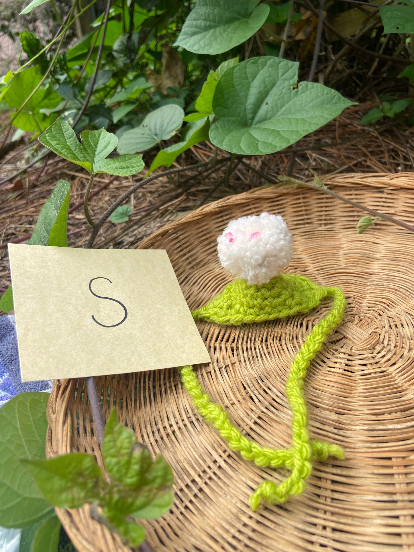 Lime Green / Pink Sprinkles MINI Squi pompom Hat