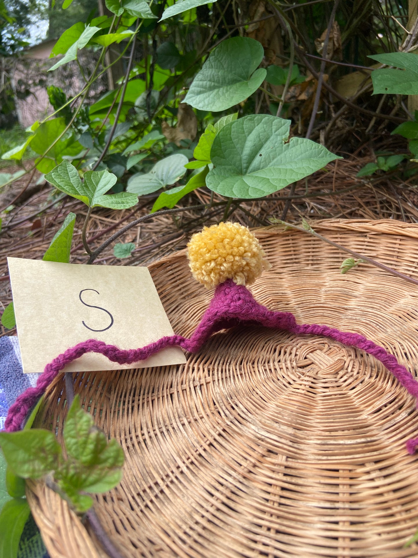 Magenta / Dandelion MINI Squi pompom Hat