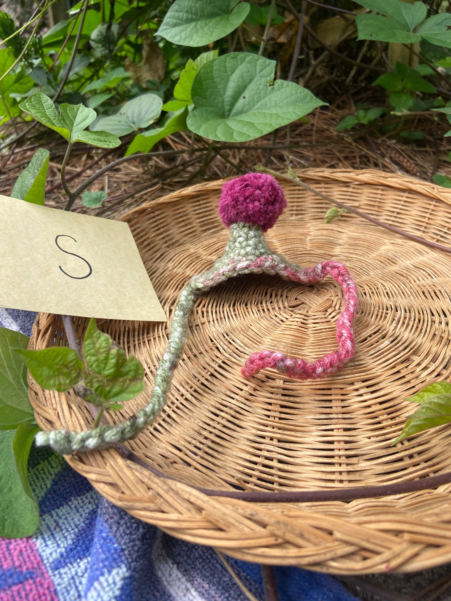 Green & Pink Color Spread MINI Squi pompom Hat