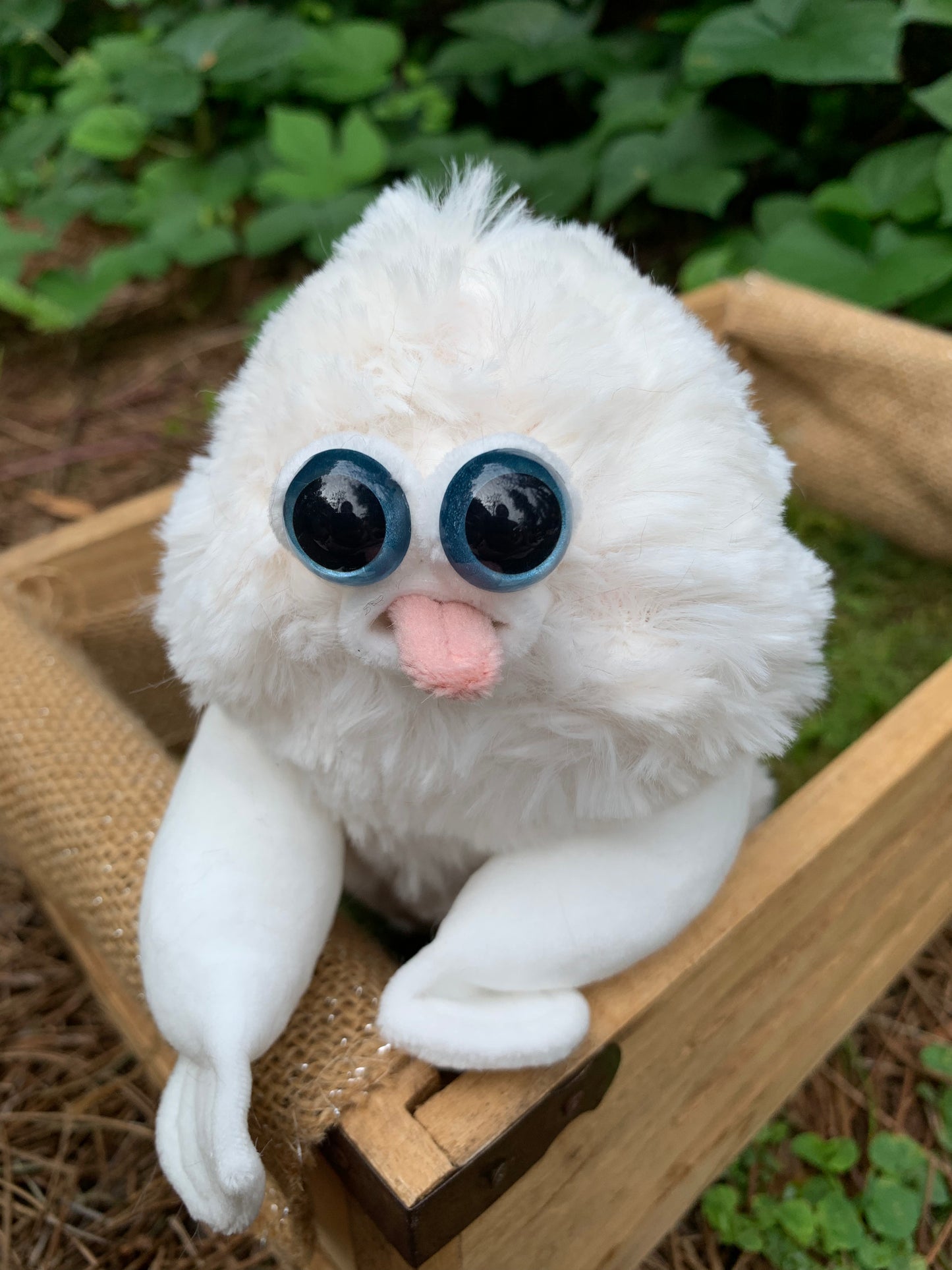 White/White Squirby fwi7