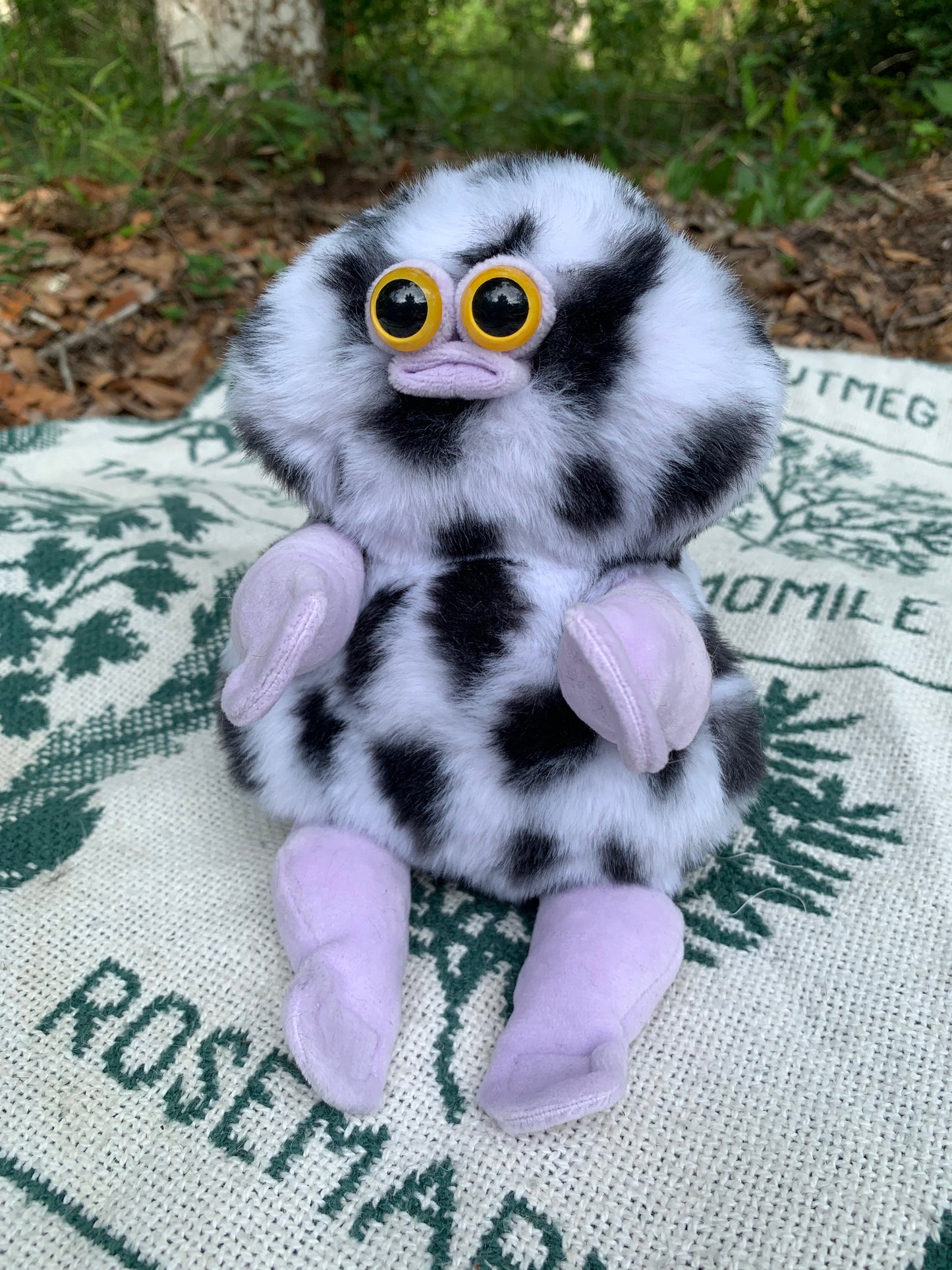 Black Spot/Purple Squmby fbire