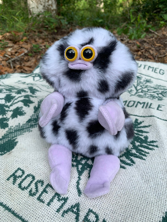 Black Spot/Purple Squmby fbire