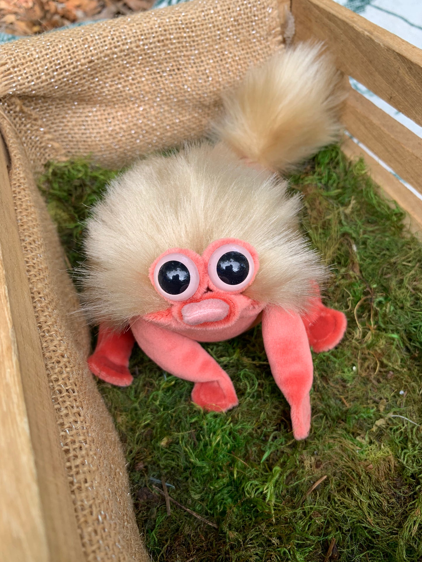 Blond/Red Squeep fh9384