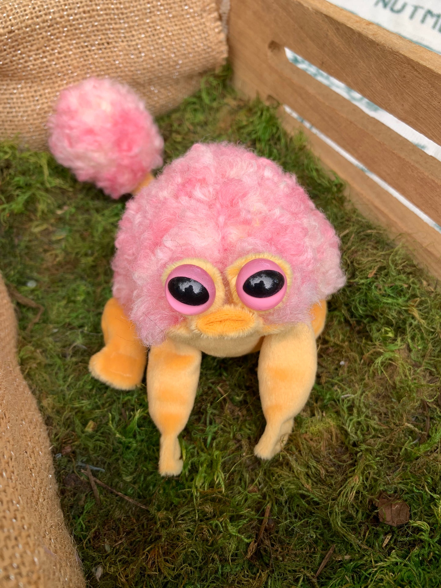 Pink/Yellow Squeep fg878