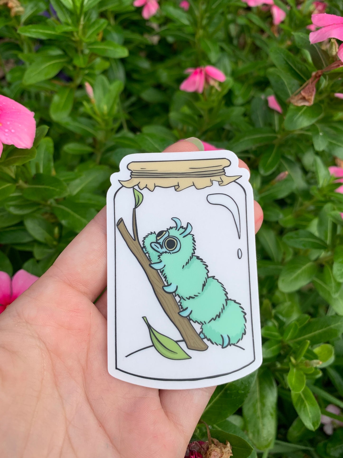 Clear CaterSqui Jar Sticker