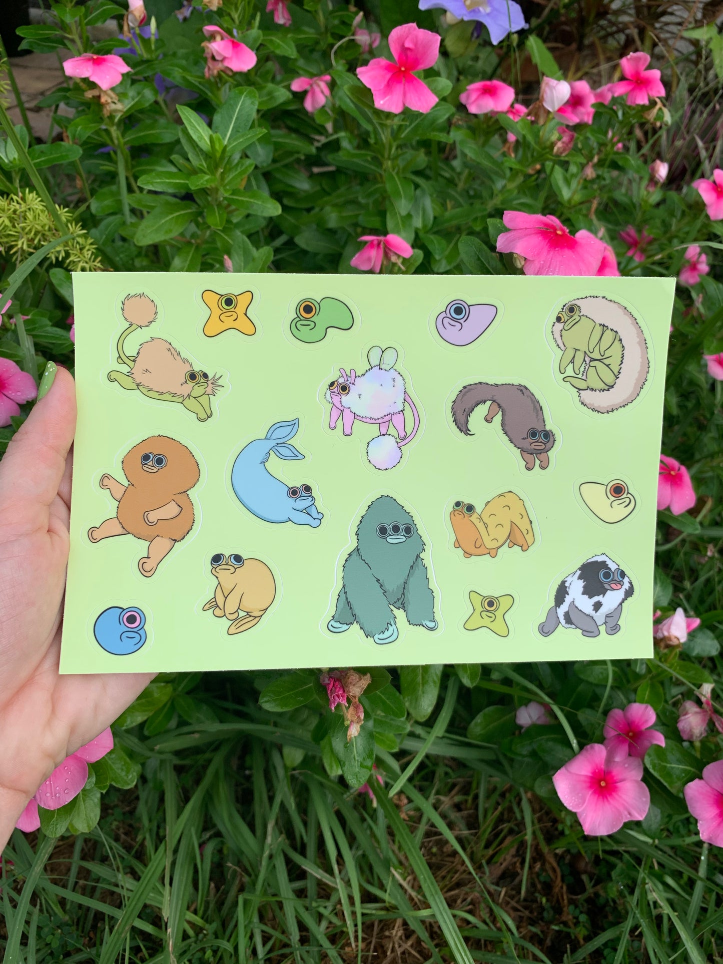 Large Assorted Squi Sticker Sheet